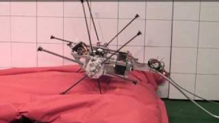 Virginia Tech: IMPASS robot