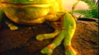 LBTVc Goodyear Tyres Frog