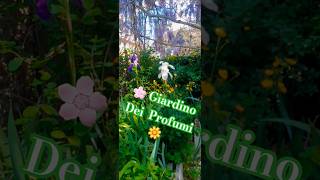🌼🐝Giardino dei Profumi 🌸🦋 #fiori #flowers #giardino #miamartini #primavera #garden