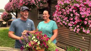 Should You Water Plants When It’s HOT Outside? 💦 Don’t Believe This Myth!