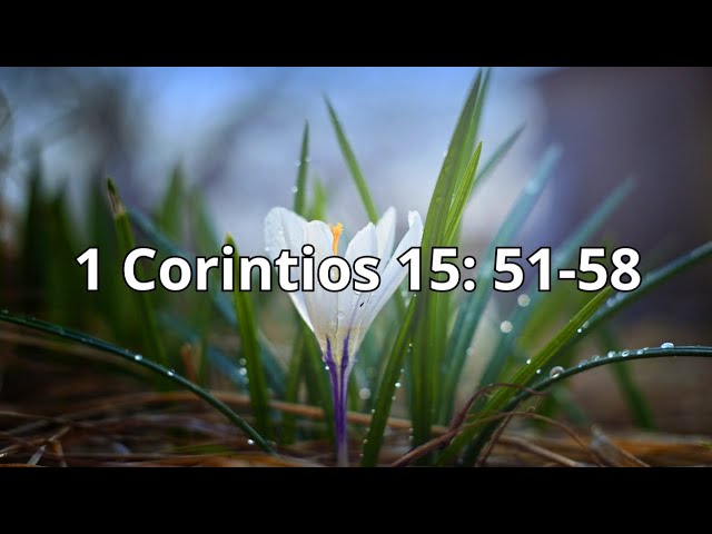 1 Corintios 15: 51-58