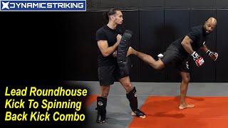 Lead Roundhouse Kick To Spinning Back Kick Combo by David Loiseau