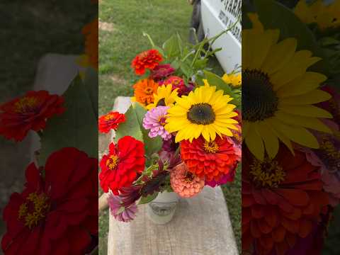 What I do on a shop day #flowerpreservation #vlog g