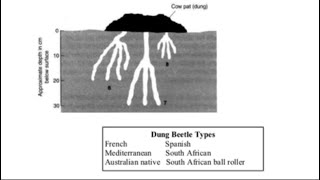 Ielts Reading labelling the diagram| How to label the diagram in IELTS Reading