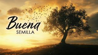 Misa de Domingo: Buena Semilla, 7/19/2026, 12:00 pm