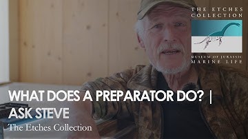 WHAT is a fossil preparator? | Ask Steve