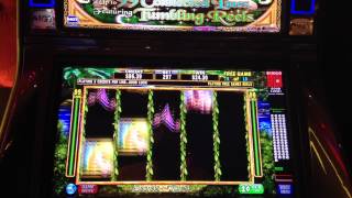 Secrets Of The Forest Slot Machine Bonus Win screenshot 5