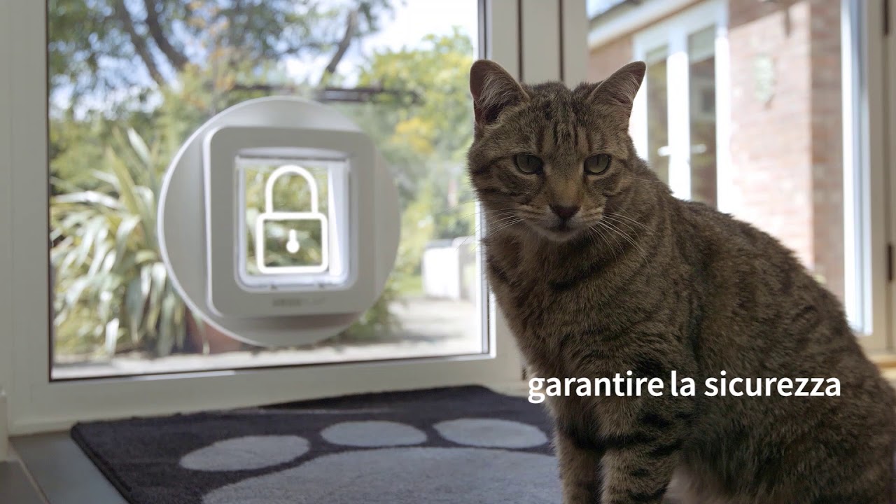 sureflap microchip connect