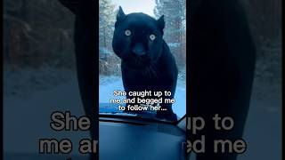 I Was Scared For My Life