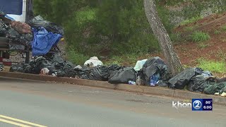Growing pile of trash alarms Pearl City residents