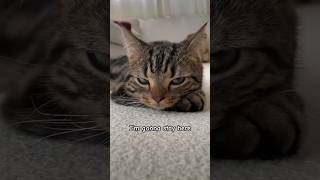 This Is For You , Bestie