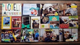 Project Life Process Video Week 3-2018 (Voiced In Real Time) :)