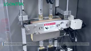 Automatic double-lane 5g/10g honey/syrup liquid packaging machine back seal