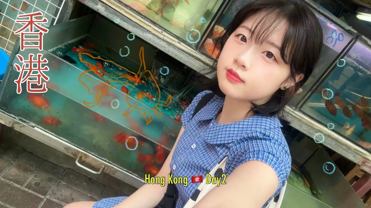 혼자 홍콩 구석구석 돌아다니기. 금붕어시장과 꽃시장, 초이홍 아파트, 삼수이포, 야시장, 서구룡 문화지구 M+ 미술관까지 다녀왔어요