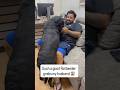 A Giant Rottweiler Grabs My Husband 😱 #shorts #dogs #rottweiler #namitaology #youtubeshorts #trend