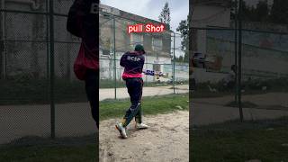 pull shot batting drill #cricket #battingdrills #shortvideo #skills #ipl