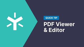 PDF Viewer and Editor
