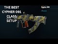 Best Cypher 091 Build for cod bo6 &amp; warzone