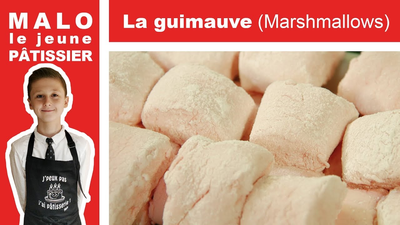 La guimauve ou Marshmallow ou Chamallow (par Malo le jeune pâtissier)