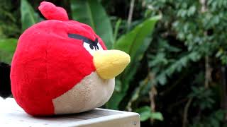 Funny Talking Animals - Soft toy addition screenshot 5