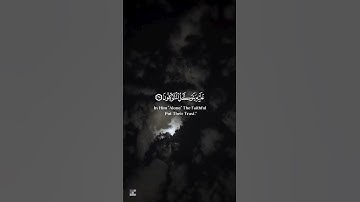 ﴿قُلْ حَسْبَىَ اللّه عَلَيْهِ يَتَوَكَّلُ الْمُتَوَكِّلُونَ٢٨﴾ | سورة الزمر | الشيخ ياسر الدوسري📖☁