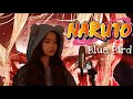 Blue bird  naruto shippuden op 3   shania yan cover