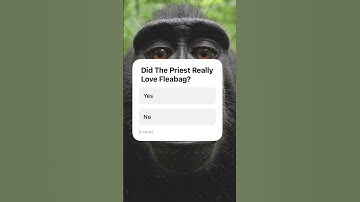 Did The Priest Really Love Fleabag? #fleabag #priest #viralvideo #trending #gaming #shorts #short