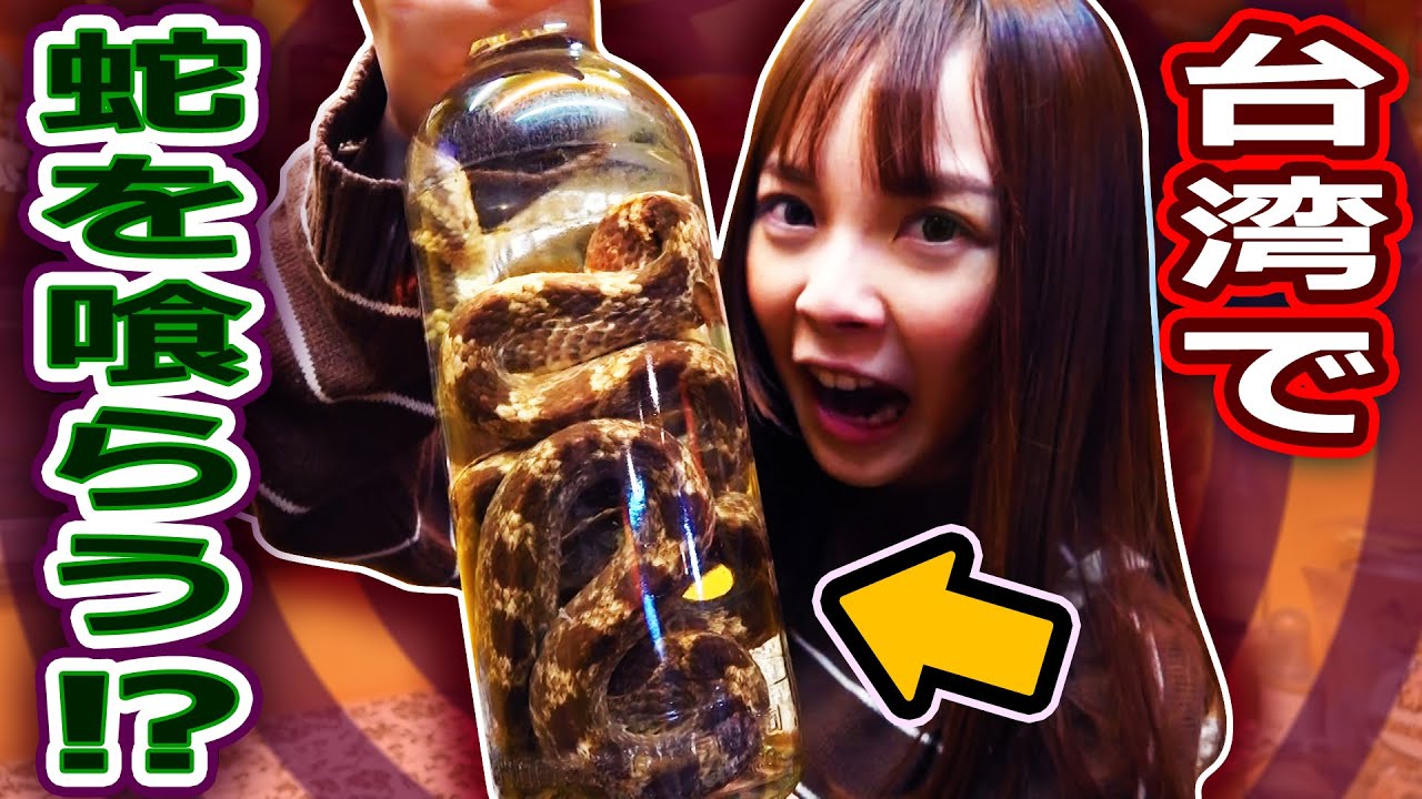 台湾最大の夜市で 蛇肉スープ を食べてみた 士林夜市 Shilin Night Market Youtube