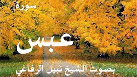 سورة عبس بصوت الشيخ   نبيل الرفاعي 80