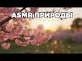 Цветёт вишня, поют птицы, жужжат пчёлы 🌸🐝 ASMR для сна и отдыха