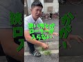 【塗装屋】社長に聞いてみた！【業界用語】