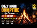 Cozy Night Campfire Ambience | 2 Hours Fire Crackling & Crickets | Sleep, Study, Relax