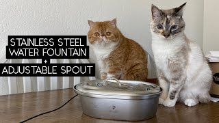 PETLIBRO STAINLESS STEEL PET WATER FOUNTAIN REVIEW | SVEN AND ROBBIE by Sven and Robbie 20,363 views 2 years ago 7 minutes, 41 seconds