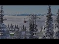 dayz