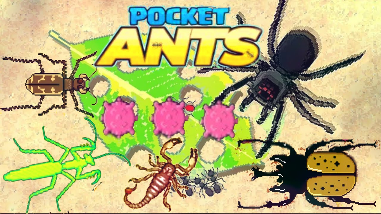 Jeffblox 2 pocket ants 