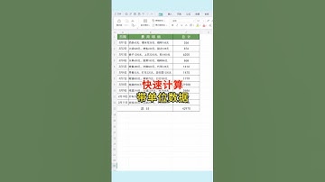 快速计算带单位数据 带单位数据计算，流水账计算！#excel #wps #办公技巧 #表格 #文员