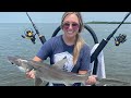 Codi Catches A SHARK In The HOMOSASSA, FL Mangroves! (Saltwater Fishing)