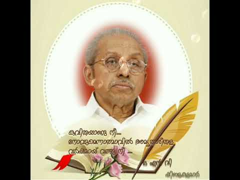 അരികിൽനീ ഉണ്ടായിരുന്നെങ്കിൽ ...