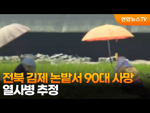 전북 김제 논밭서 90대 사망…열사병 추정 / 연합뉴스TV (YonhapnewsTV)