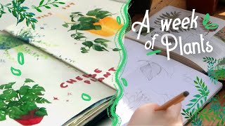 A week of plants, part time artist ⟡ sketching, painting and upcycling