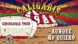 Video thumbnail of "Los Caligaris - Aunque no quiero placa (AUDIO)"