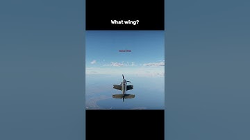 What Wing? #warthunder #gaming #edit #transition