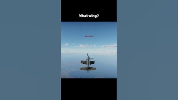 What Wing? #warthunder #gaming #edit #transition