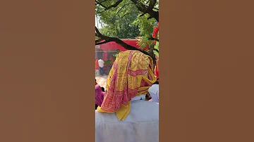 म क ल म द र धनप र र हत स ब ह र व यरल व ड य 