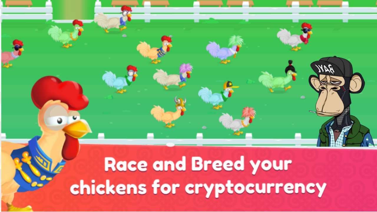 Chicken Derby NFT - Interview with the Chief Chicken (founder) and Ben  Jammin. - YouTube