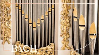 Bach - Jesu, meine Freude BWV 1105 - Van Doeselaar | Nederlandse Bachvereniging