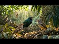 ছোট্ট টুনটুনি পাখি আর তার বউ 🐦❤️ | ধূর্ত কাককে বুদ্ধি দিয়ে হারালো! | Bengali Moral Story #trending
