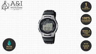 Jam Tangan Casio Original Pria W-213-1A