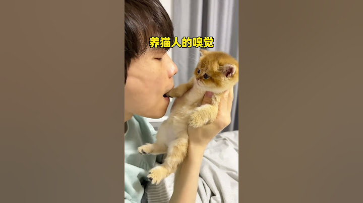 【牛奶是只猫】养猫人才知道的含金量