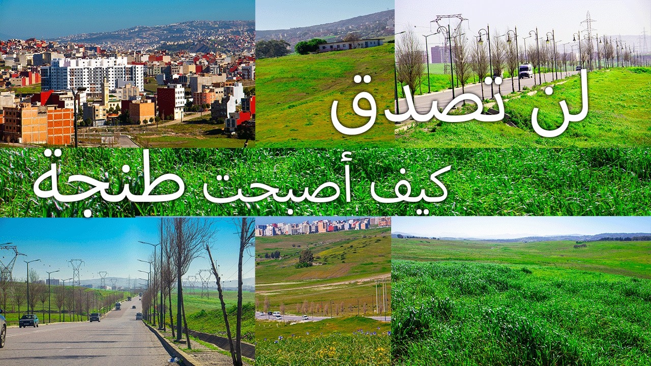 لن تصدق كيف أصبحت طنجة بعد الأمطار